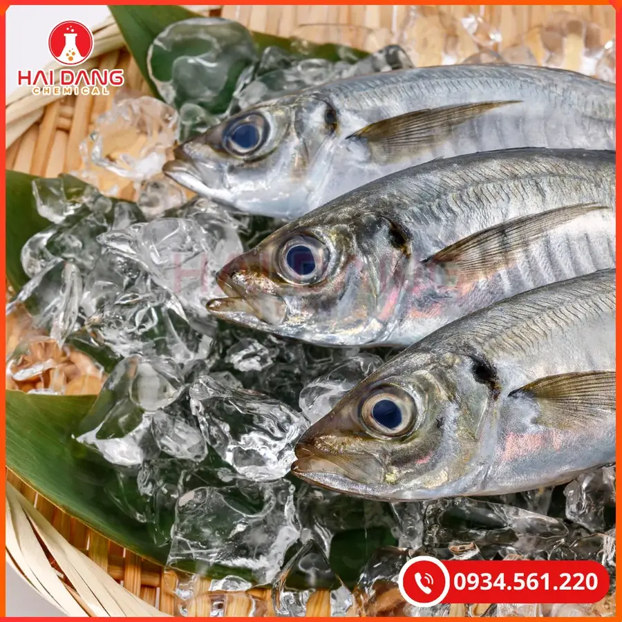 Hương Hải Sản Bột, Lỏng Thực Phẩm Tạo Mùi Vị Hải Sản Tự Nhiên | Giá Tốt Tại Quảng Ninh