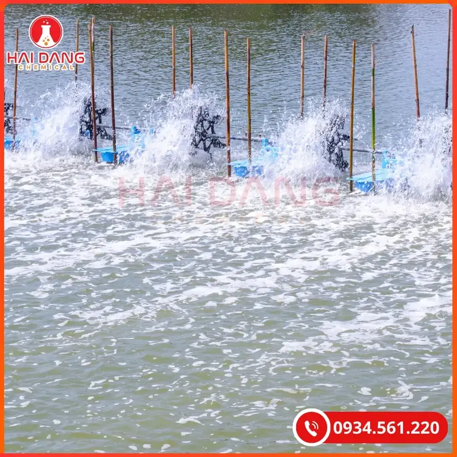 Iodine 9000 Việt Nam Chai 1L Sát Khuẩn Thủy Sản | Giá Tốt Tại Kho Quảng Ninh