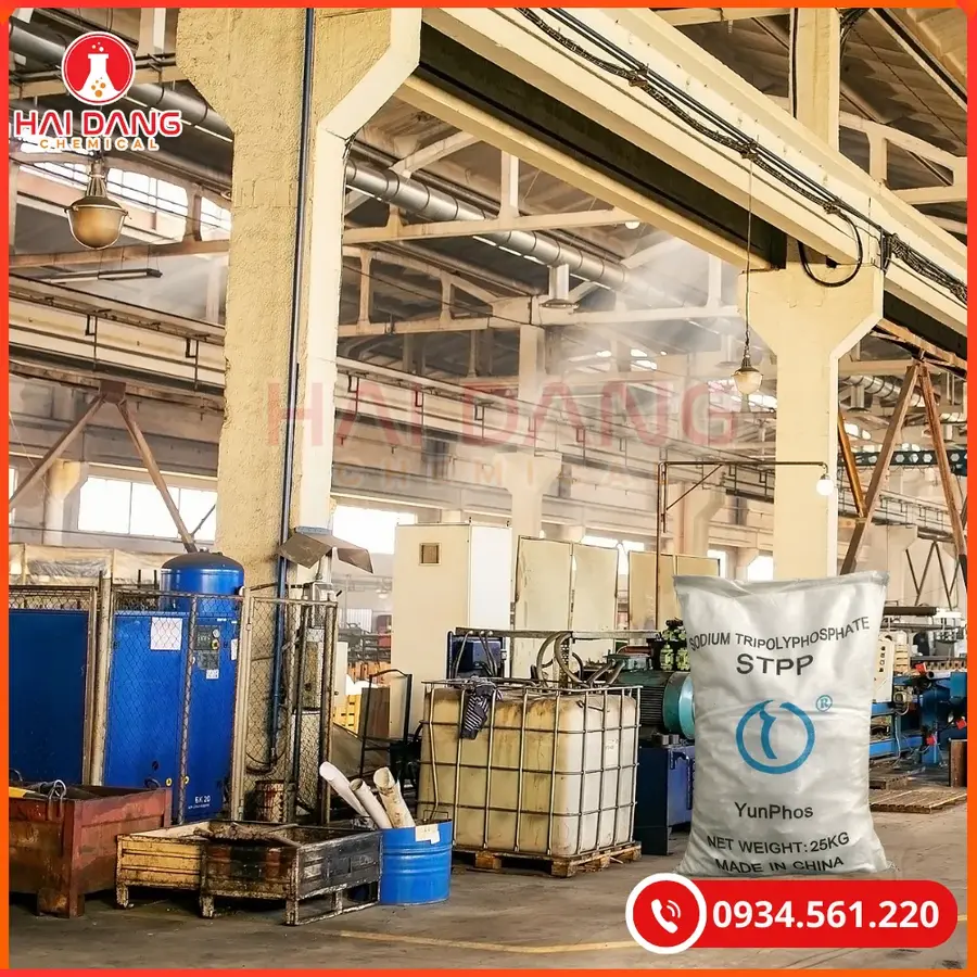Sodium Tripolyphosphate STPP Phụ Gia Thực Phẩm | Giá Tốt Tại Kho Quảng Ninh