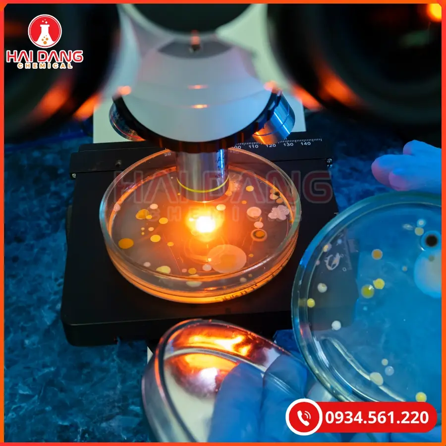 Sodium Stannate Xilong 500g Hóa Chất Thí Nghiệm | Giá Tốt Quảng Ninh