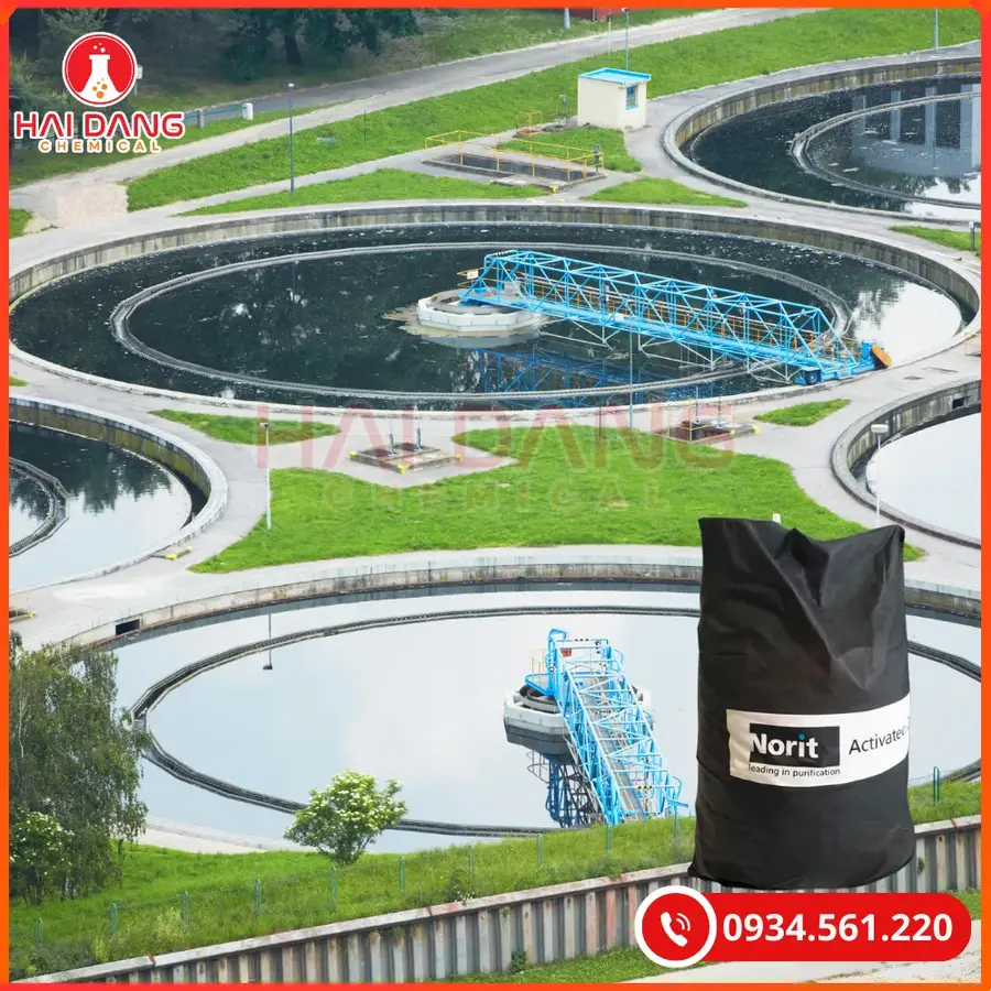 Than Hoạt Tính Norit PK13M Iodine 800 Lọc Nước | Giá Tốt Quảng Ninh