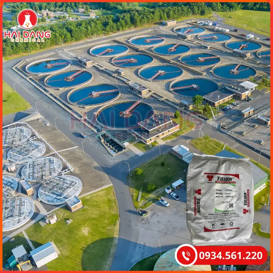 Hạt Trao Đổi Ion Anion Tulsion A33 OH Thermax Khử Khoáng Nước | Giá Tốt Quảng Ninh