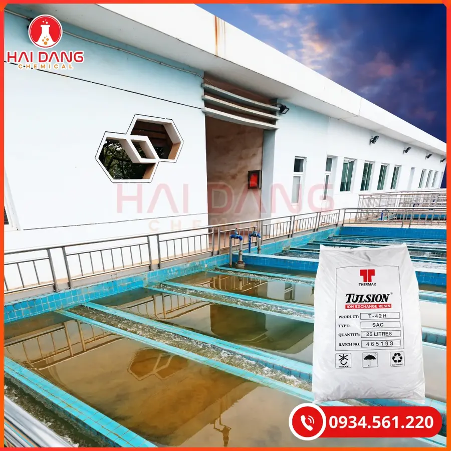 Hạt Trao Đổi Ion Cation Tulsion T42H Thermax Khử Khoáng Nước | Giá Tốt Quảng Ninh