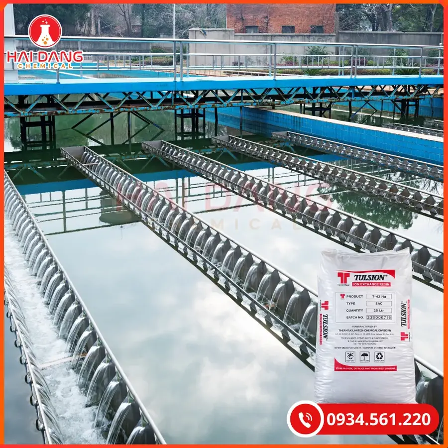 Hạt Trao Đổi Ion Cation Tulsion T42Na N Thermax Làm Mềm Nước | Giá Tốt Quảng Ninh