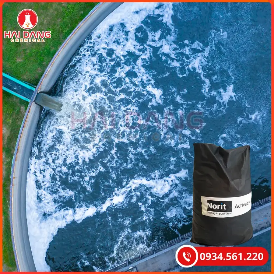 Than Hoạt Tính Norit PK13M Iodine 800 Lọc Nước | Giá Tốt Quảng Ninh